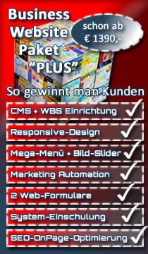 Angebot Business Paket Plus