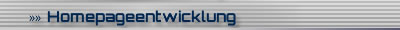 Homepageentwicklung
